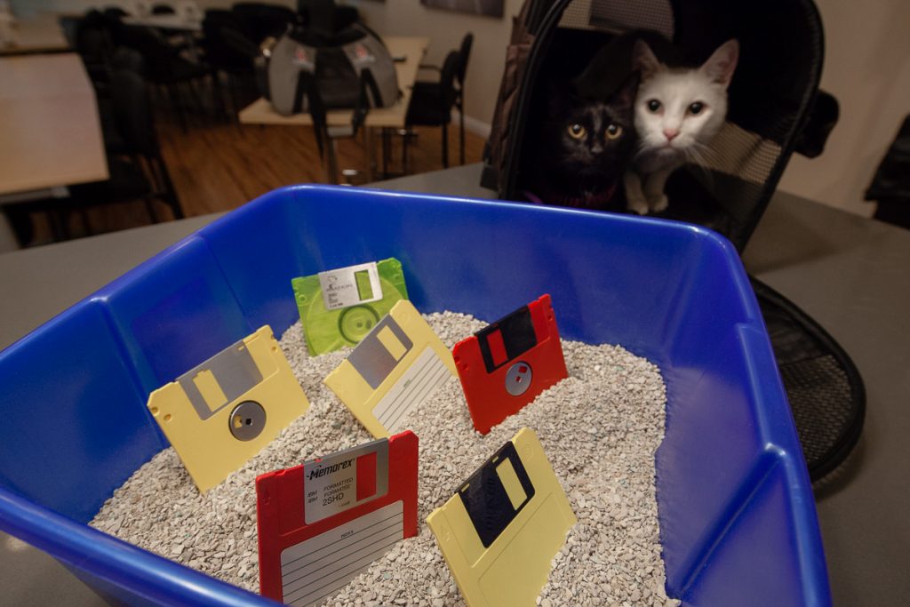 Catbox with floppy disks standing up in the litter 