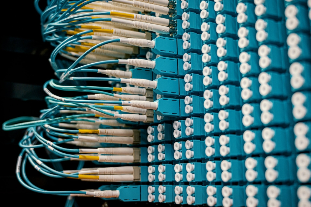 A photo of network cables. 