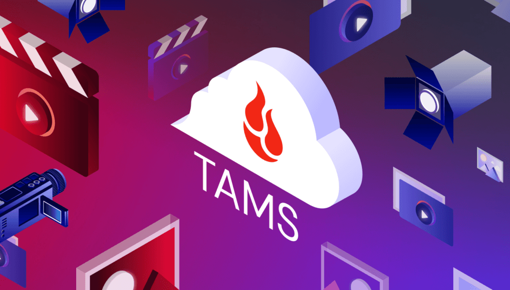 An illustration with a cloud with the Backblaze flame logo and the word TAMS.